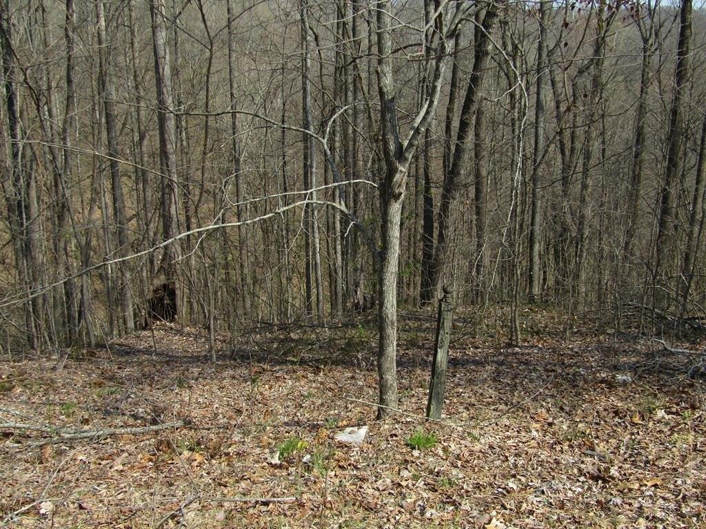 Property Image for Lot 28 Hunters S Landing Lane