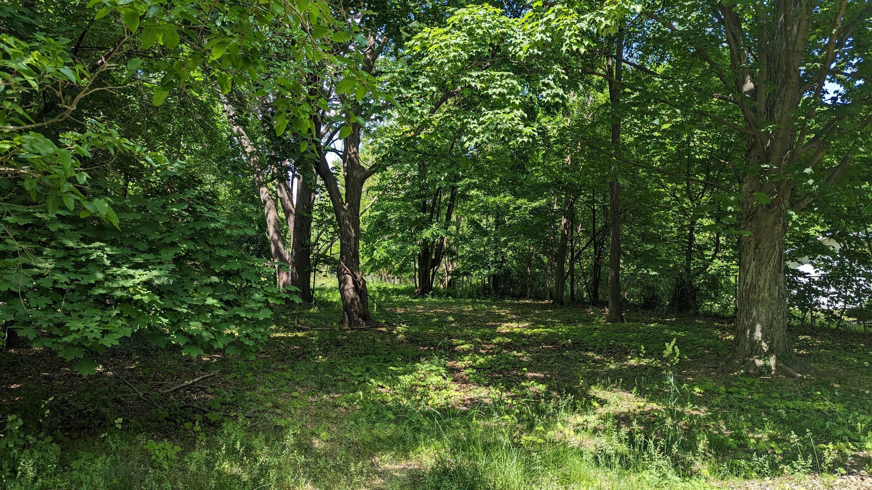 Property Image for 209 Western Avenue