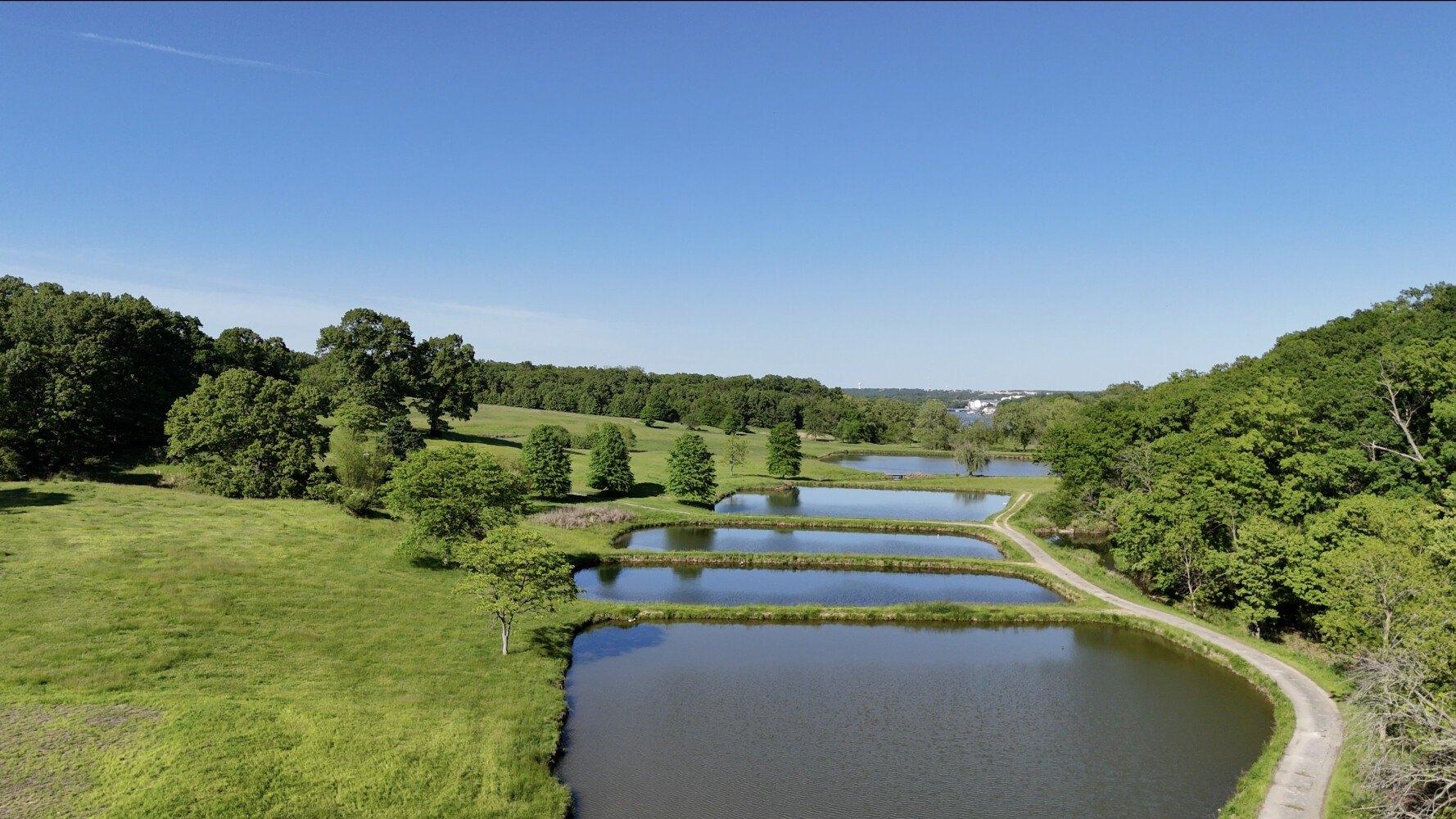 Property Image for 1170 Nichols Rd