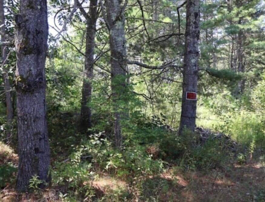 print property image