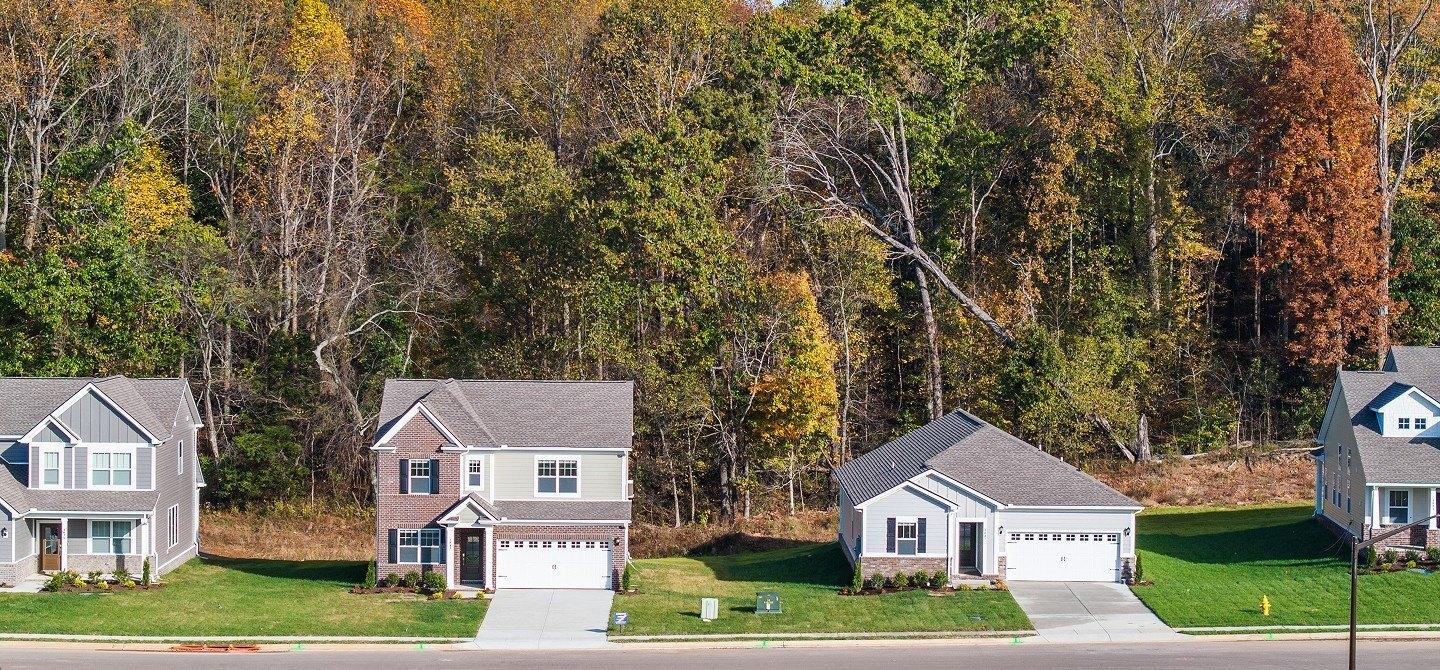 print property image