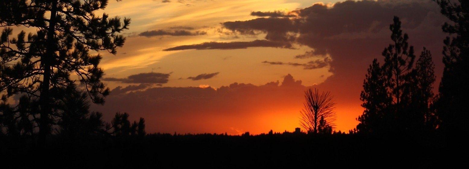 print property image