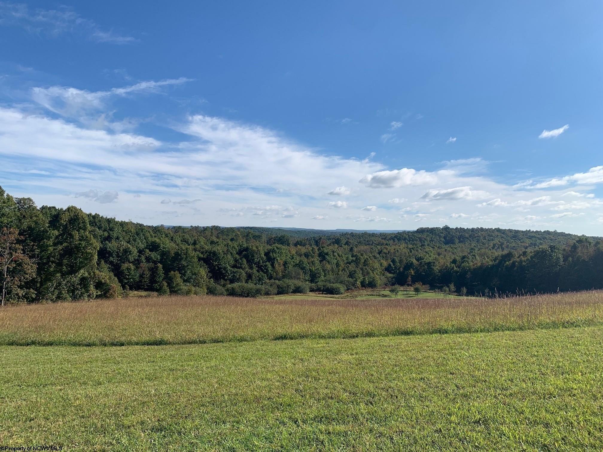 print property image