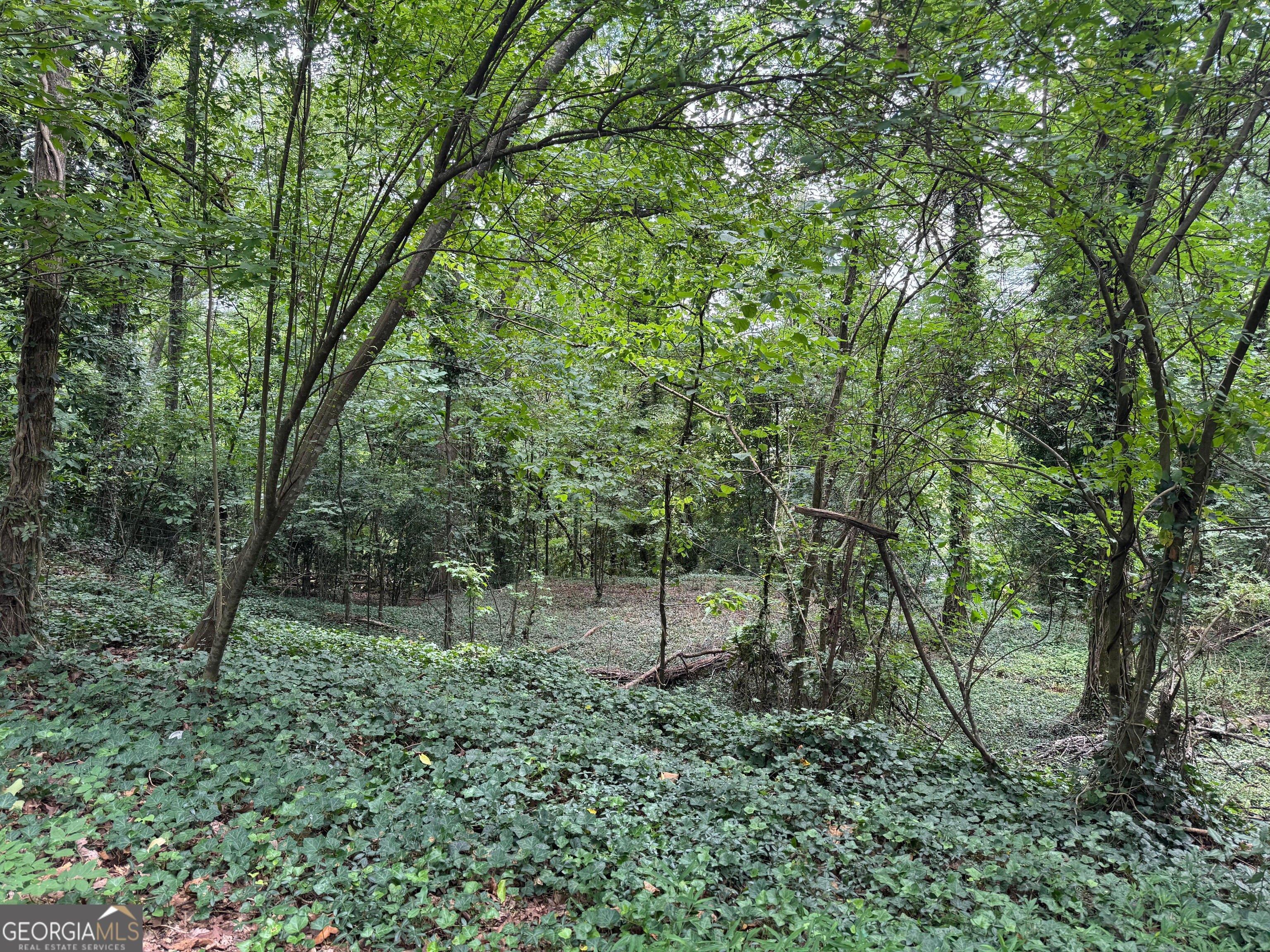 print property image