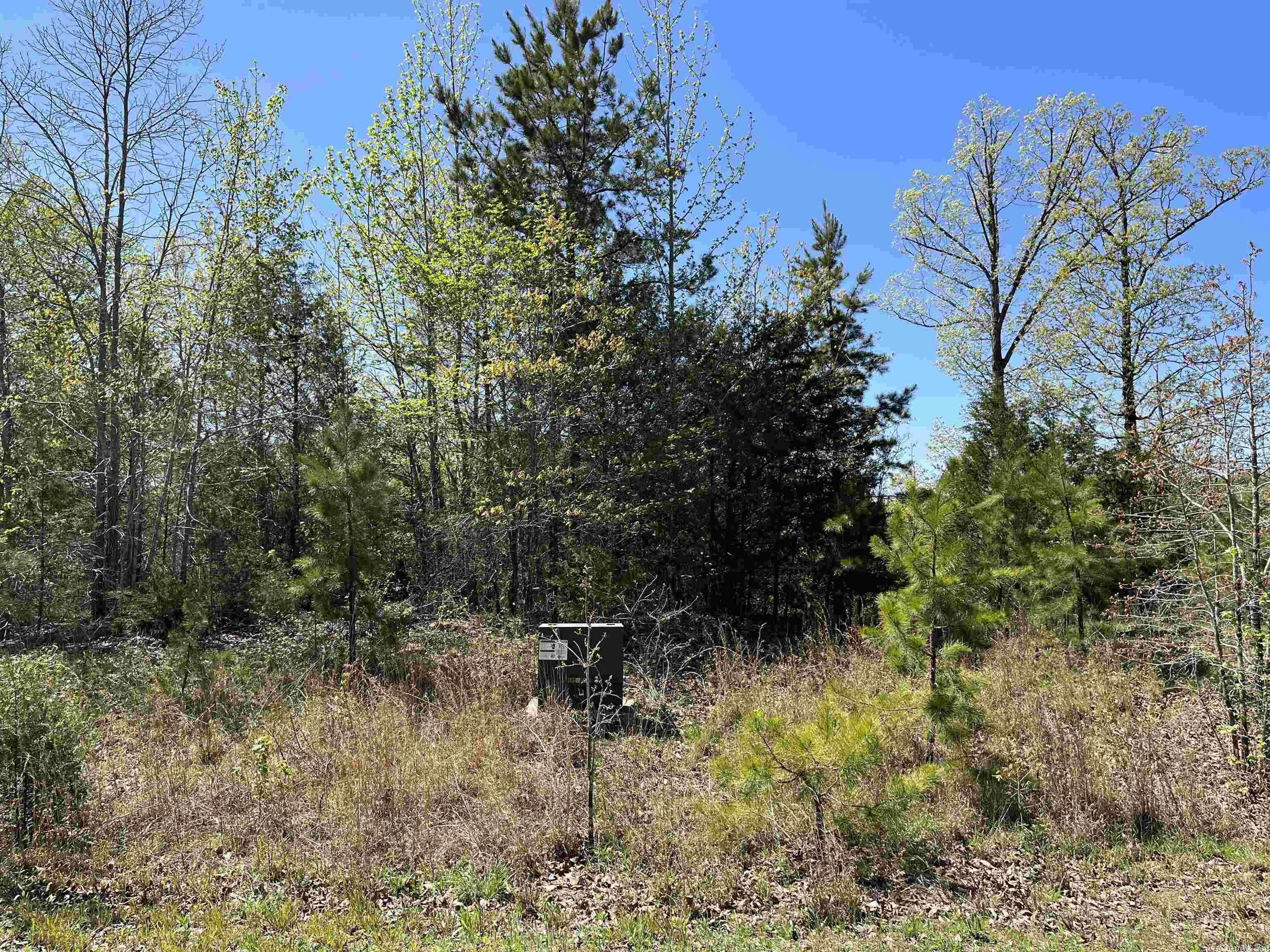 print property image