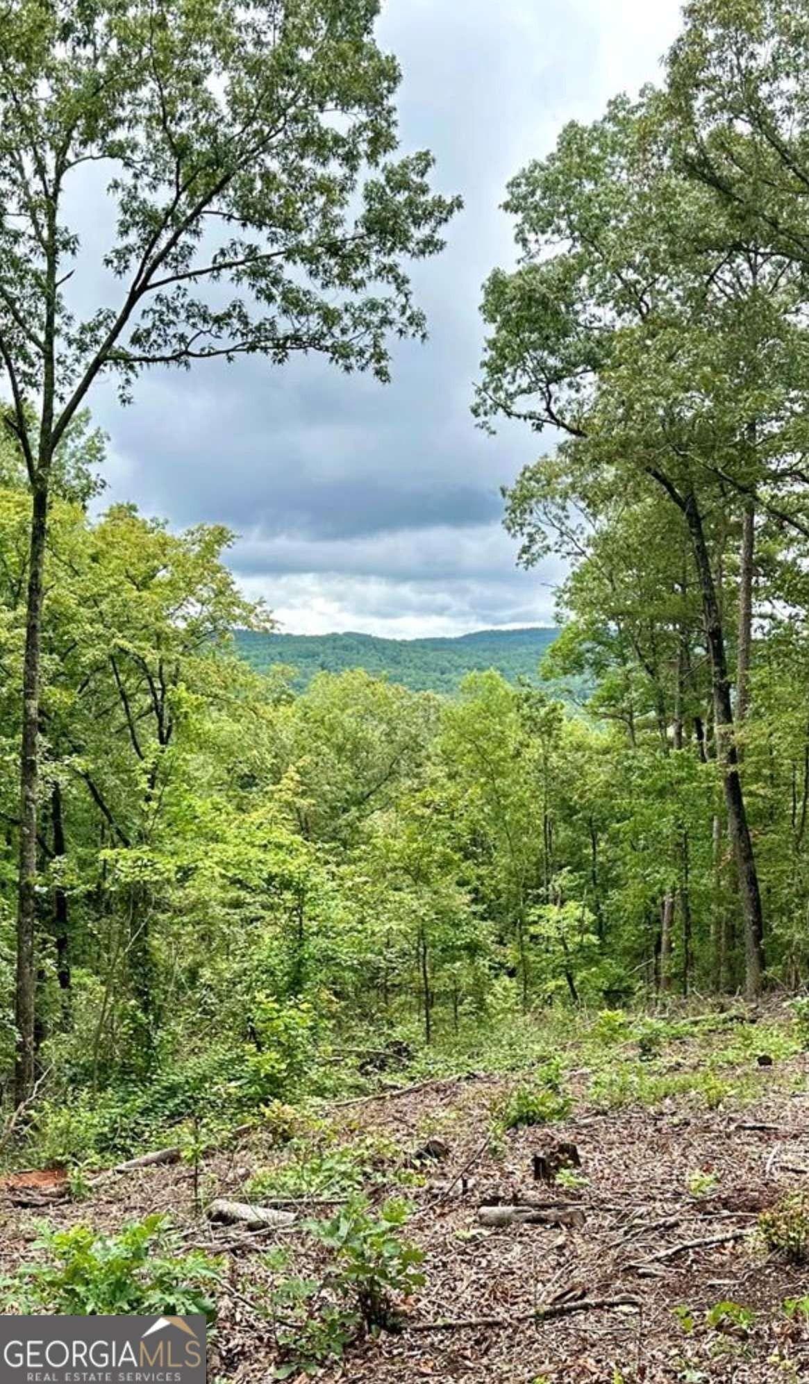 print property image