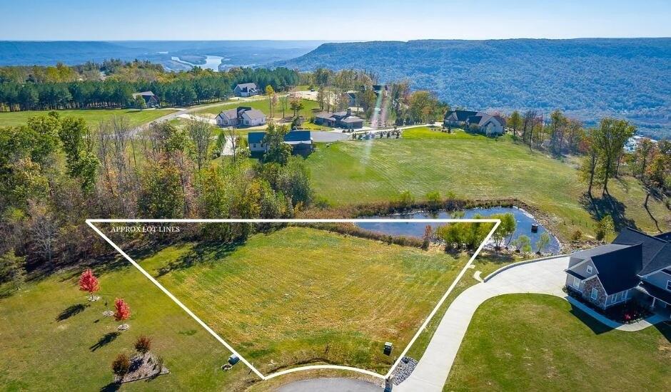 print property image