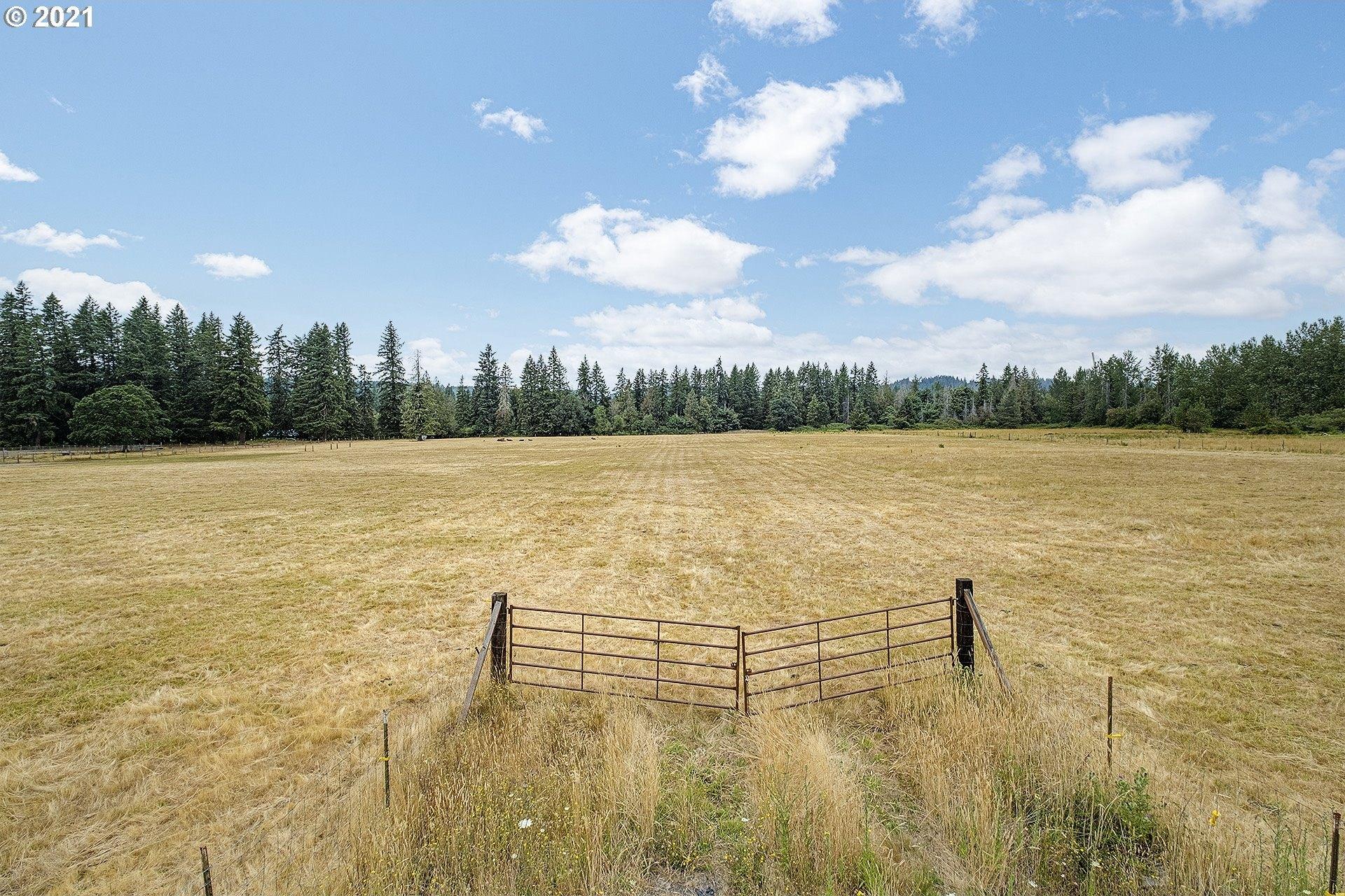 print property image