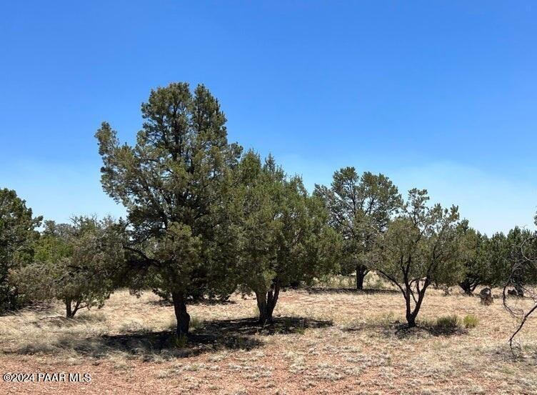 Property Image for 338 Dust Rose Ranch Road