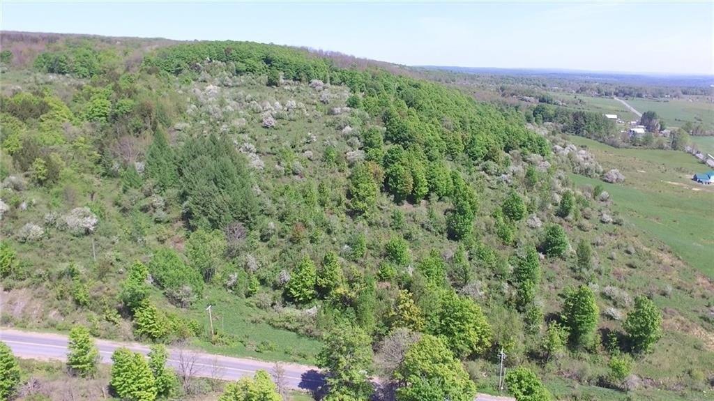 Lot 18.5 North Steuben Road, Remsen, NY 13438 MLS R1530301 CENTURY 21