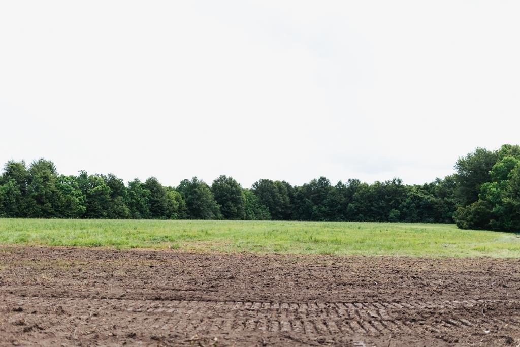 print property image