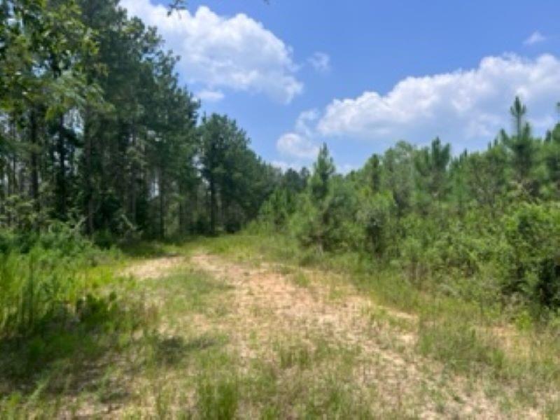 Property Image for 0 N County Road 72 N