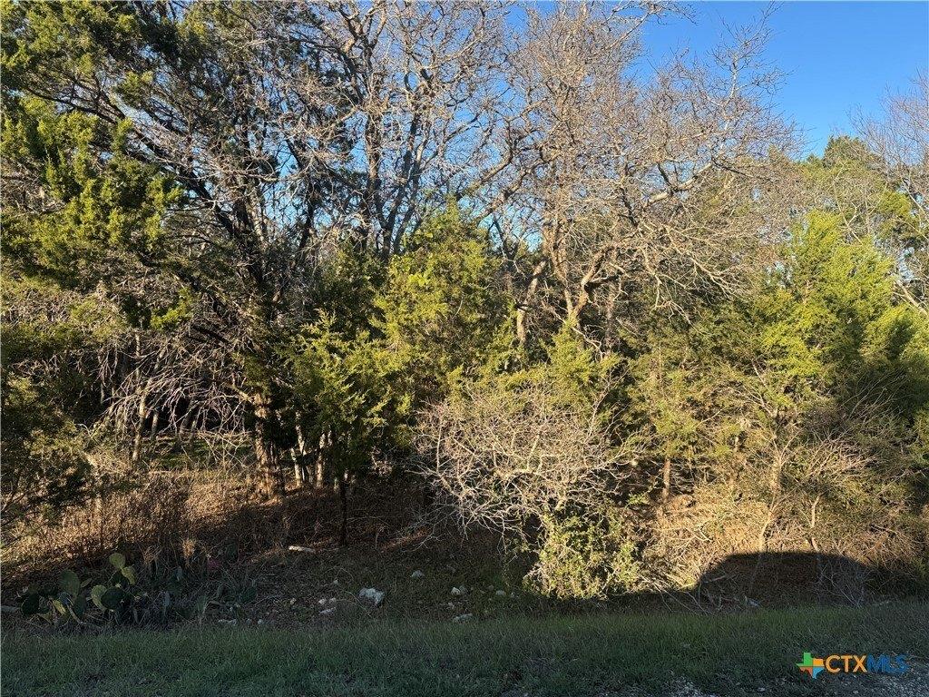 print property image