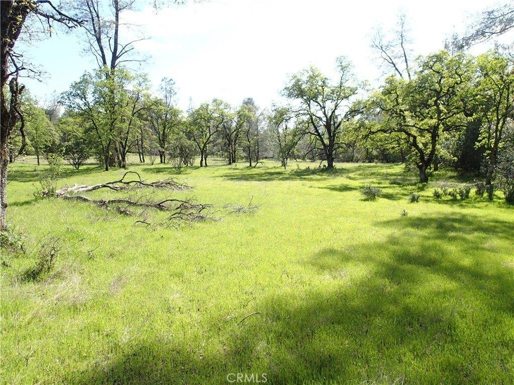 Property Image for 0 Pioneer Trail