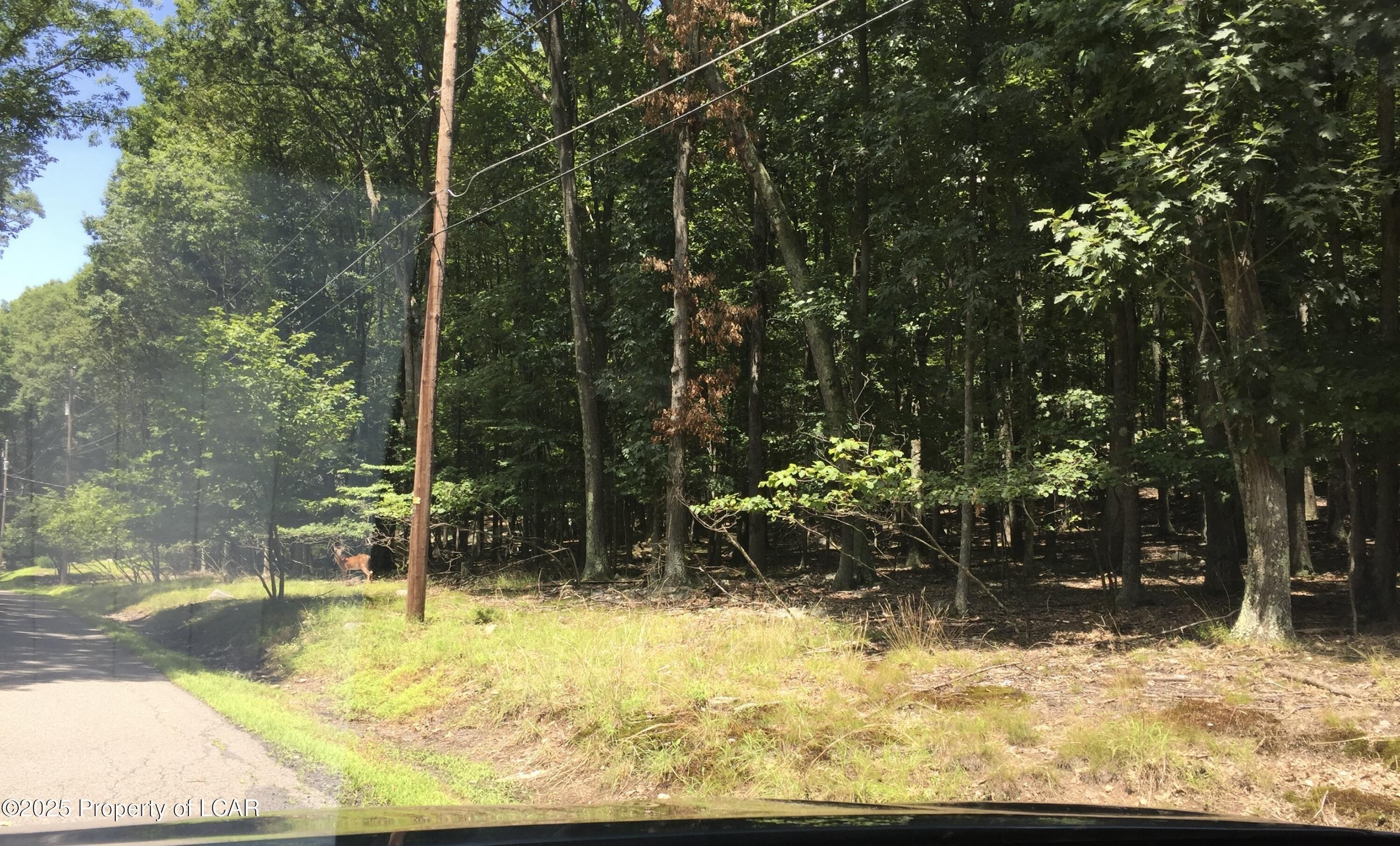 print property image