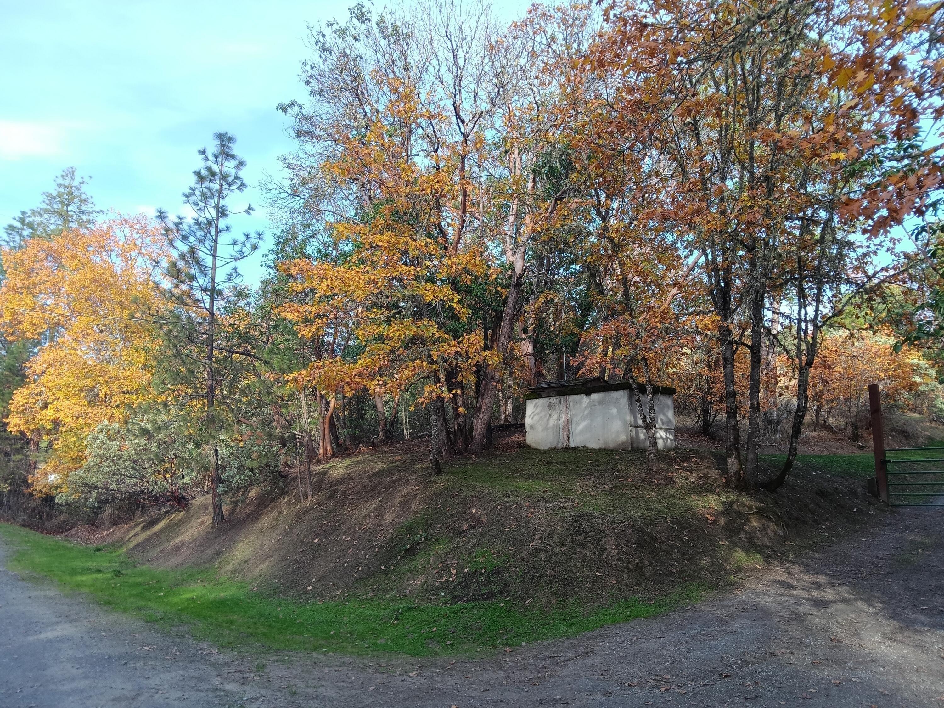 print property image