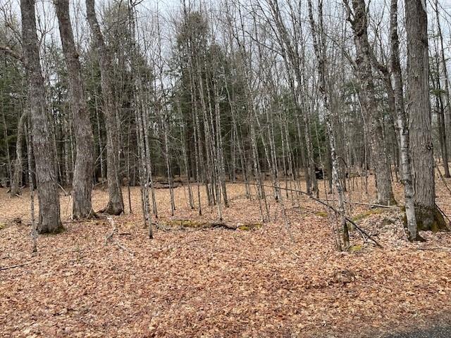 Property Image for On FOREST LAKE RD W Lot 4