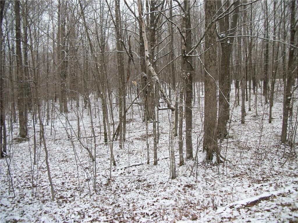 Property Image for Lot #96 WOODS Avenue