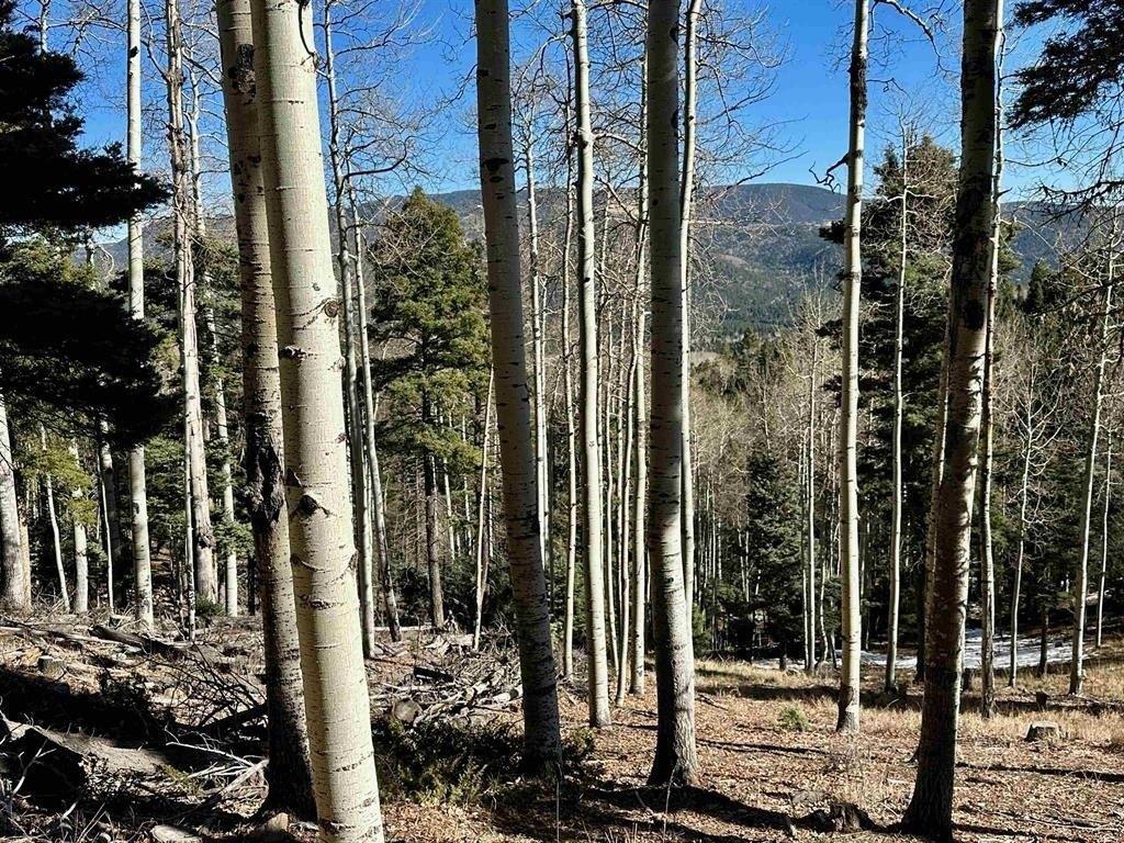 Angel Fire Real Estate Find Houses & Homes for Sale in Angel Fire, NM