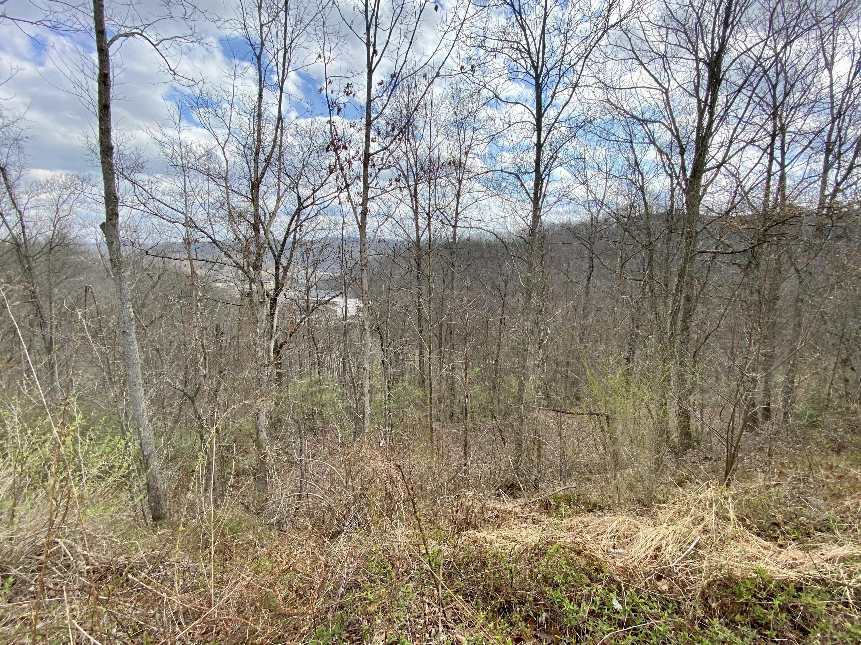 Property Image for o Jack Lot Hollow