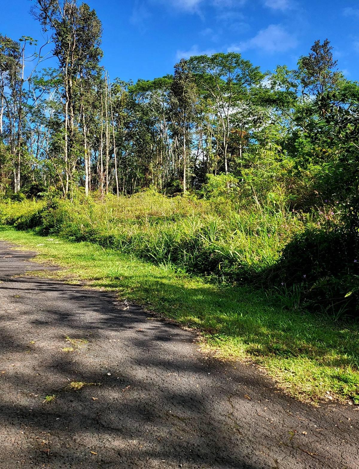 Property Image for 14-3504 KONA RD Lot #: 311