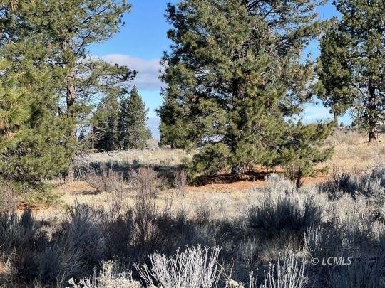 Property Image for L~04 Shoshoni