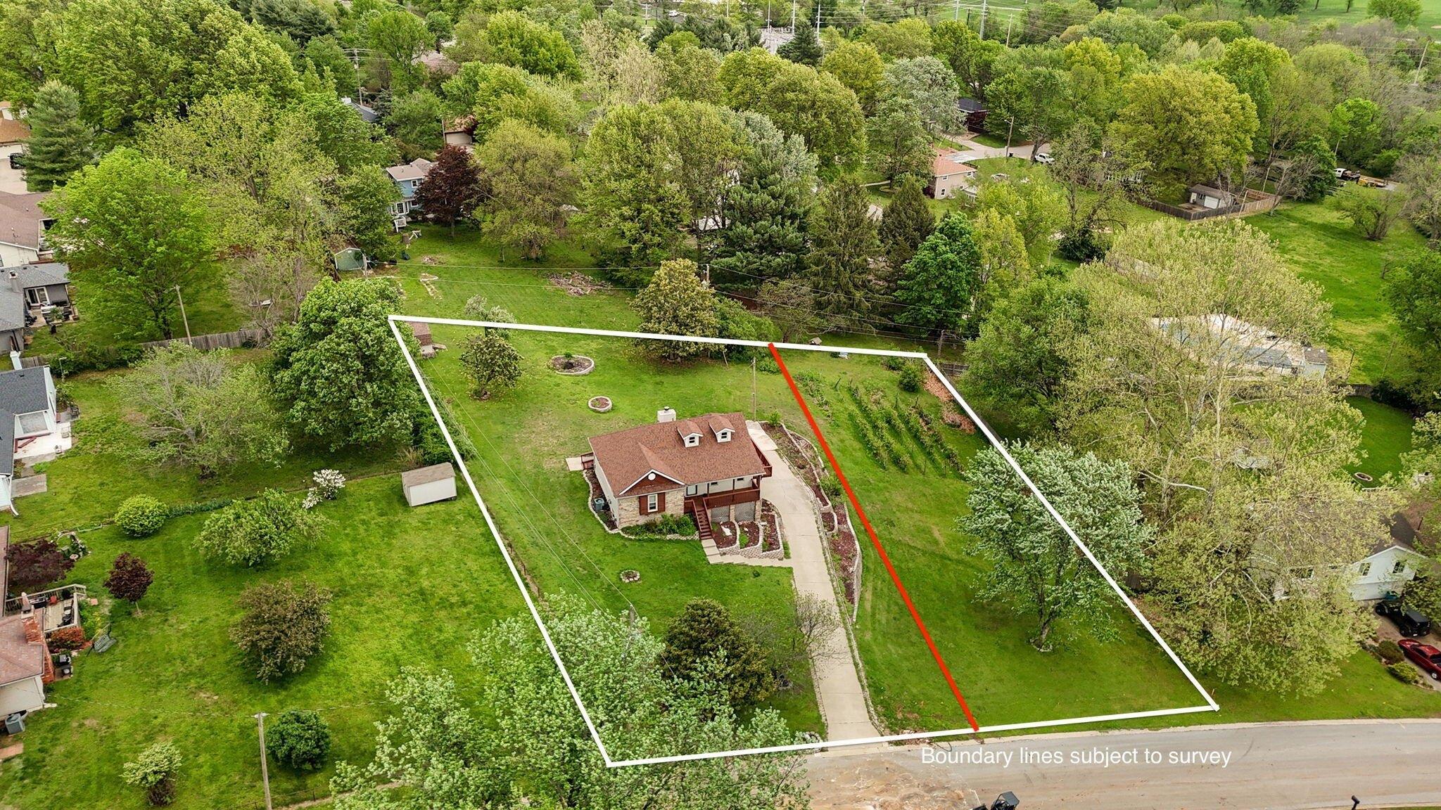 print property image