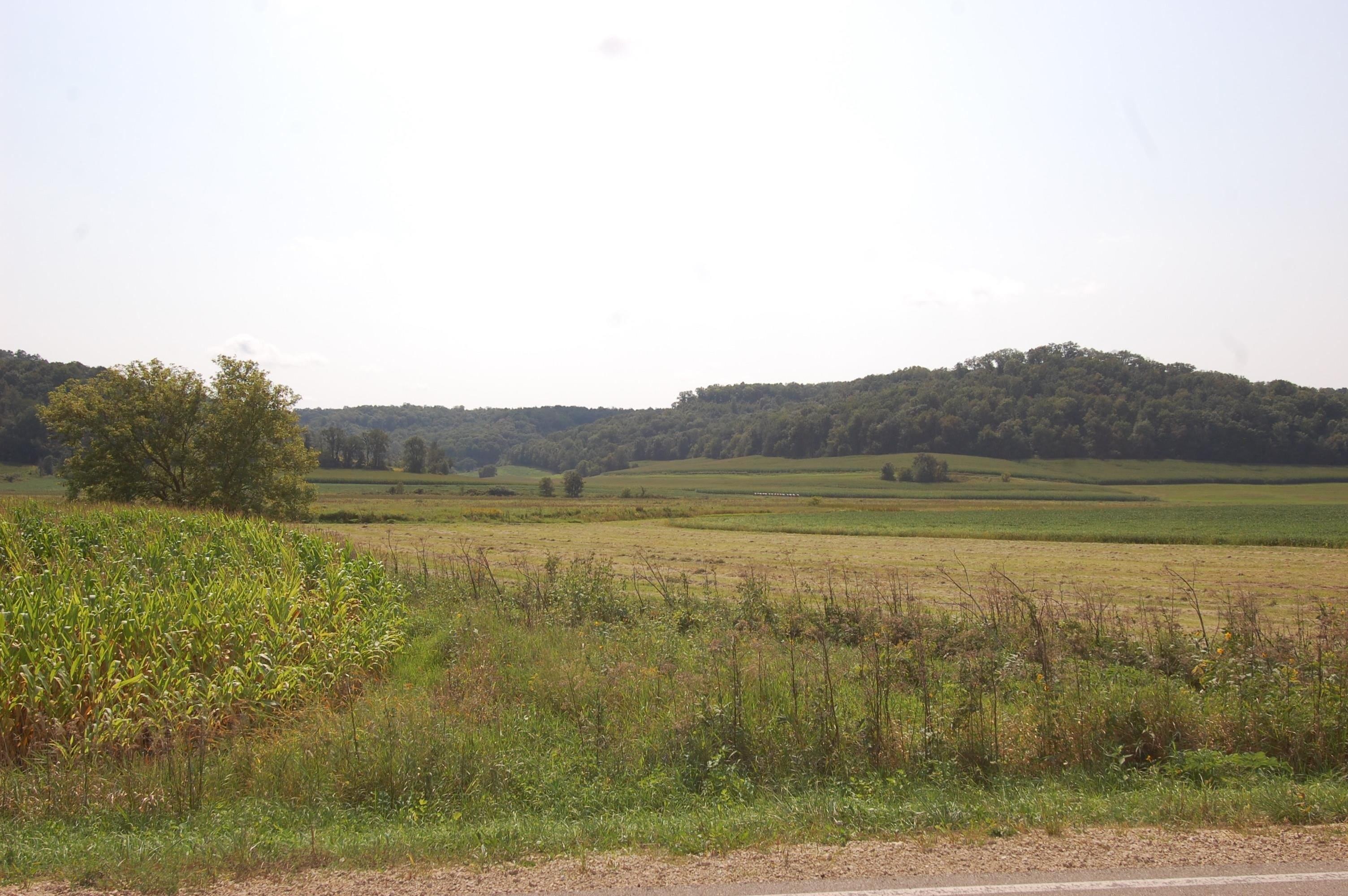 print property image