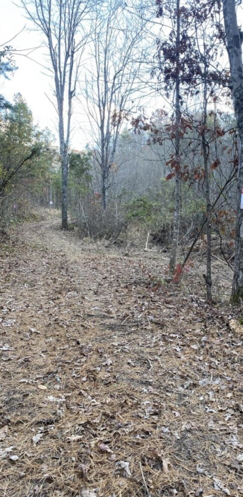 Property Image for Tract #3 High Knob Ridge