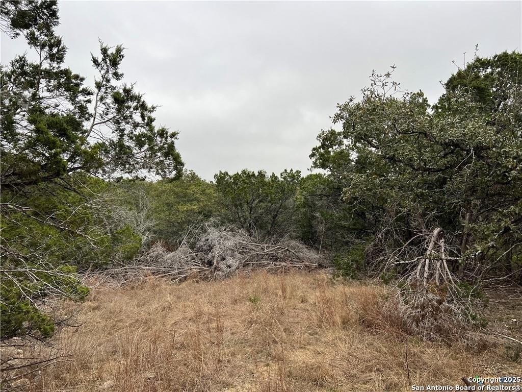 print property image