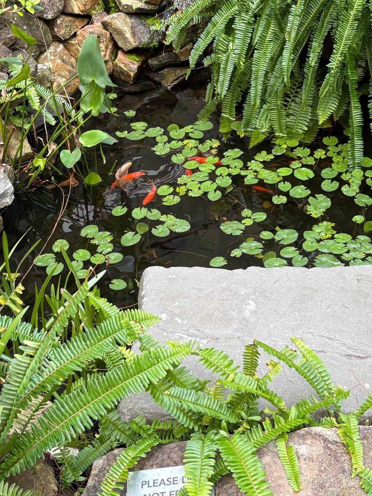 print property image