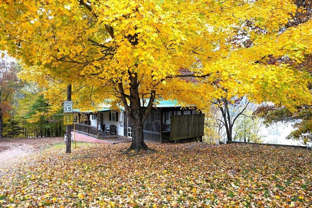 print property image