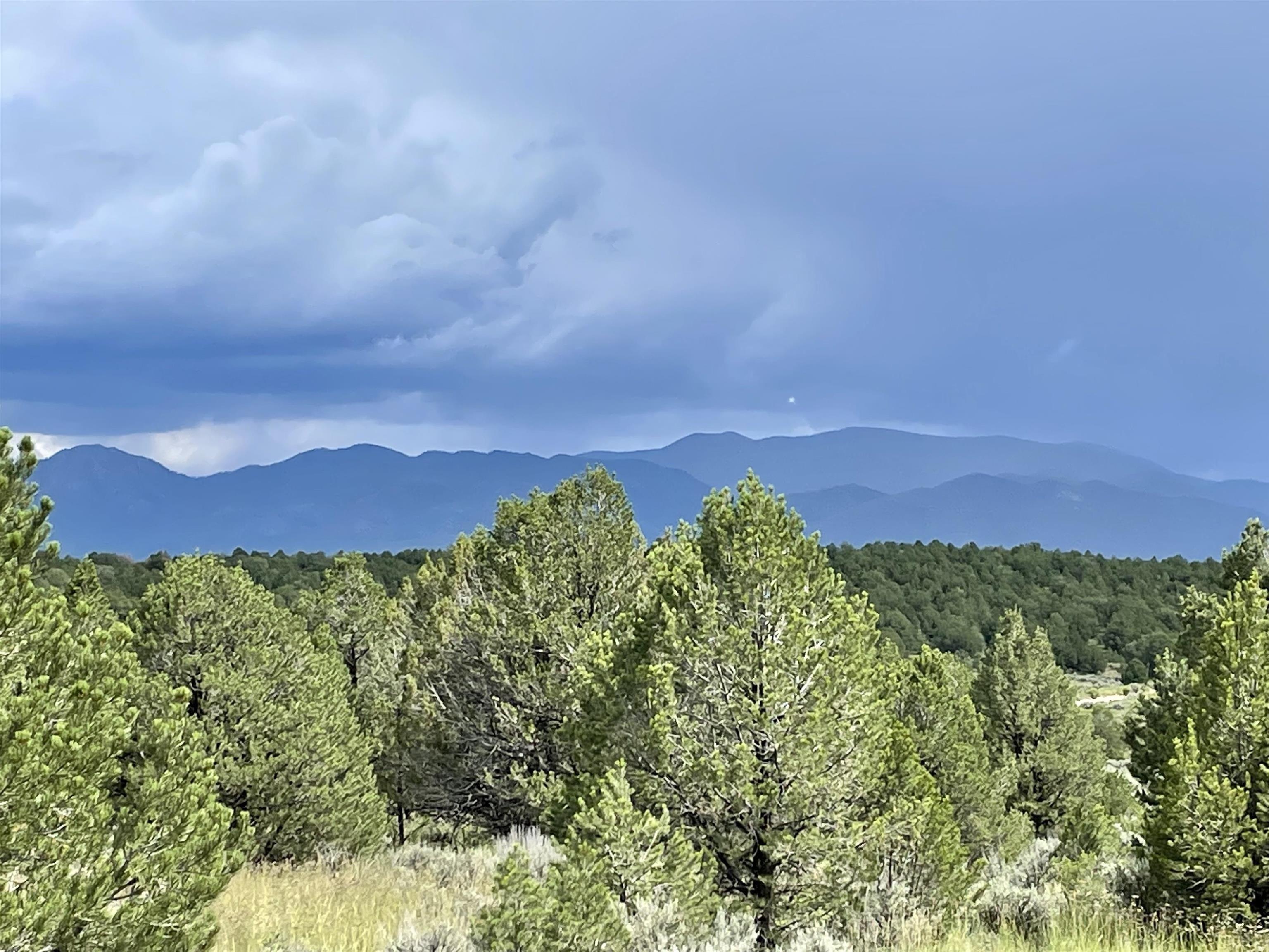 print property image