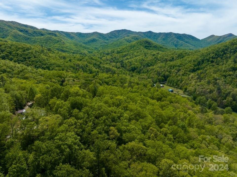 Property Image for 0 Mountain Laurel Road