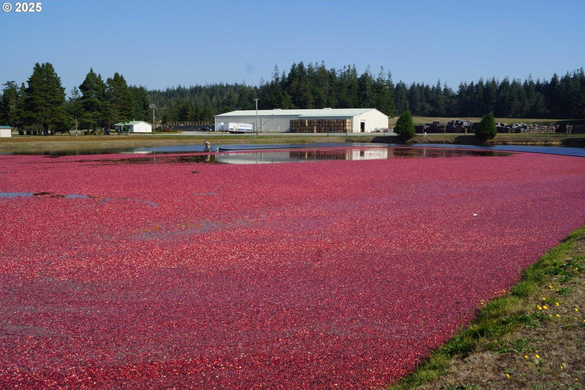 Property Image for 54981 Morrison Rd