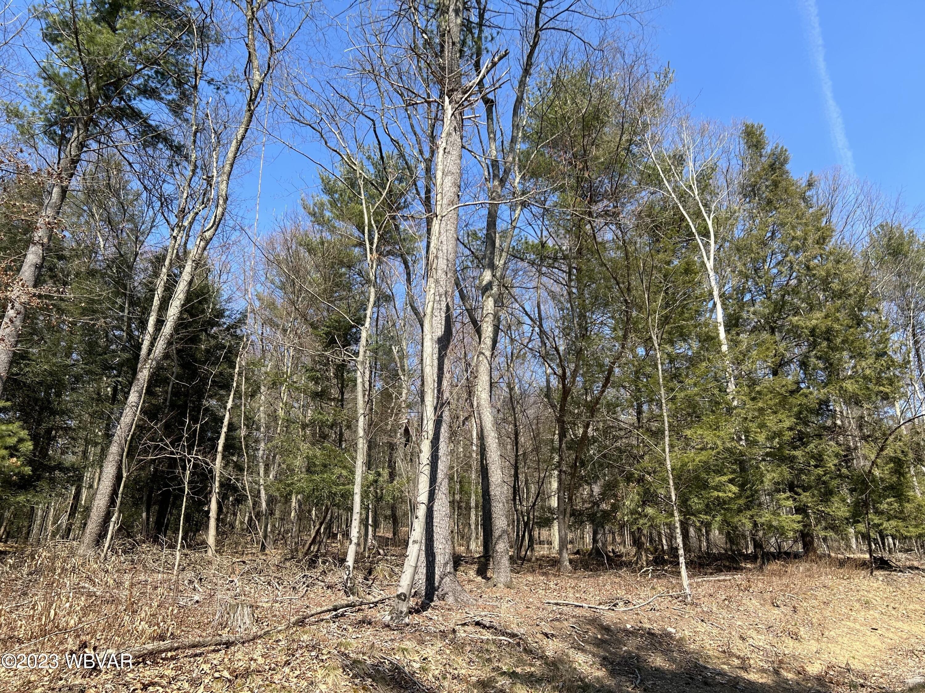 Property Image for Tallman Hollow Road Lot #2