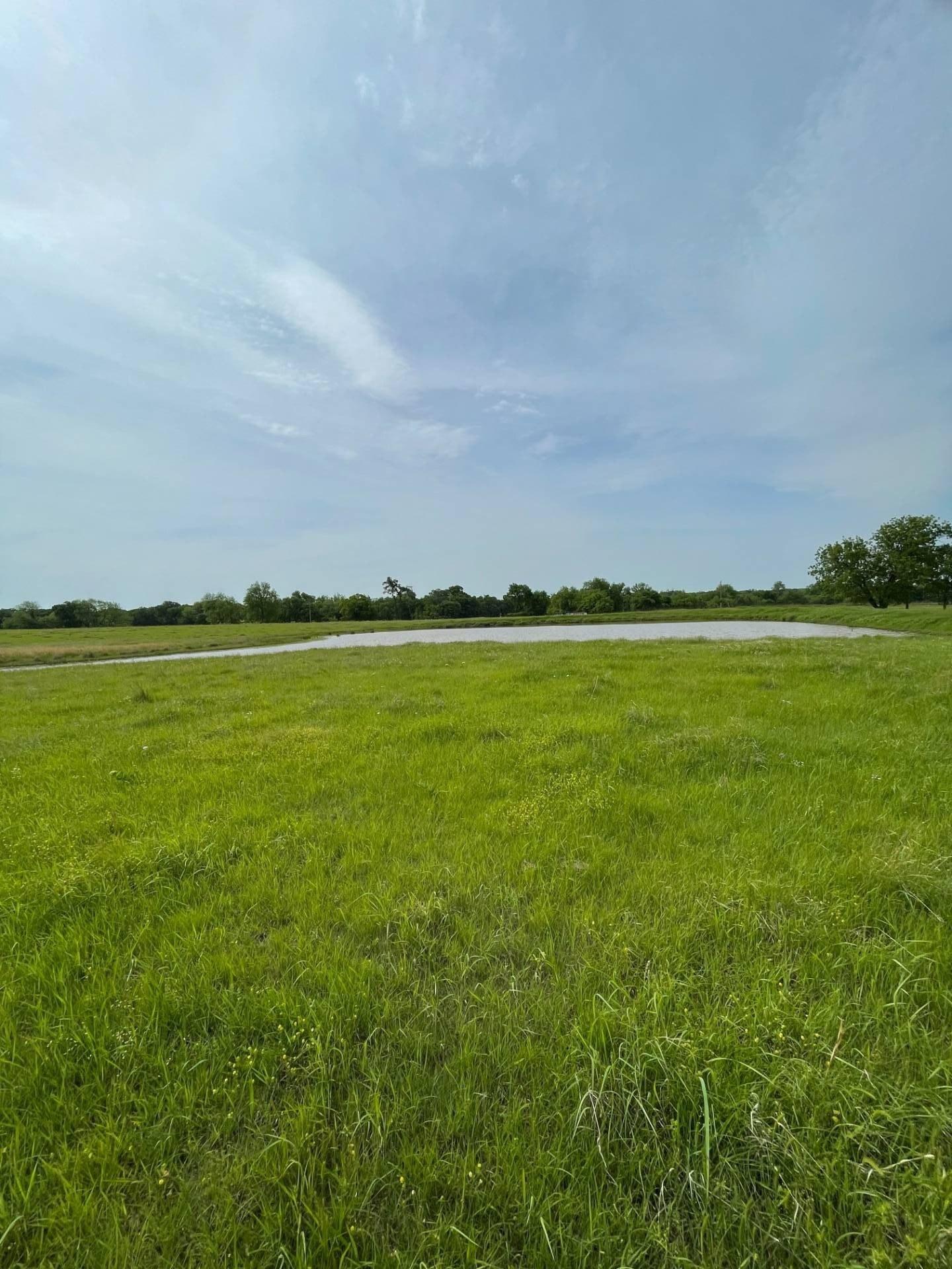 print property image