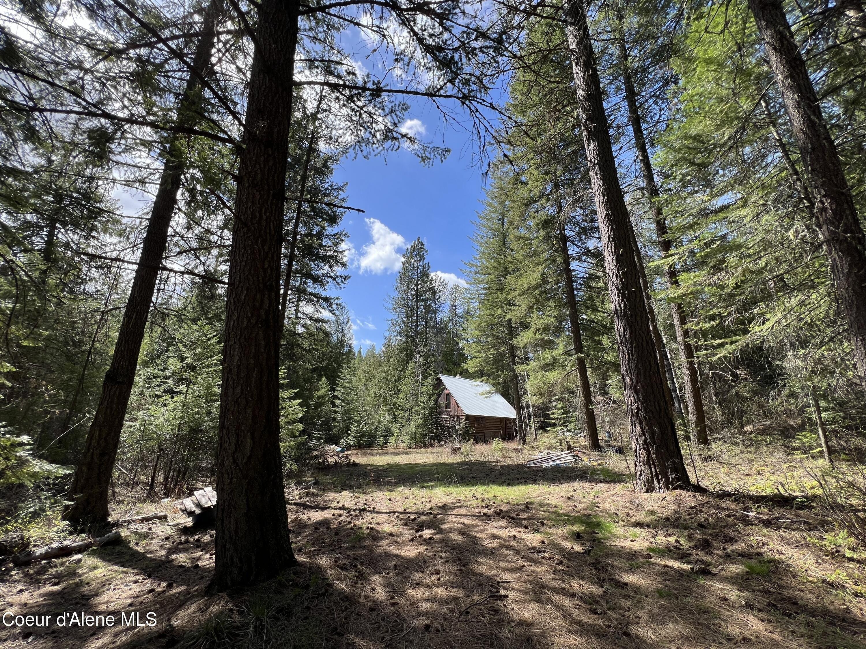 Property Image for 2875 Cabin Ridge Rd