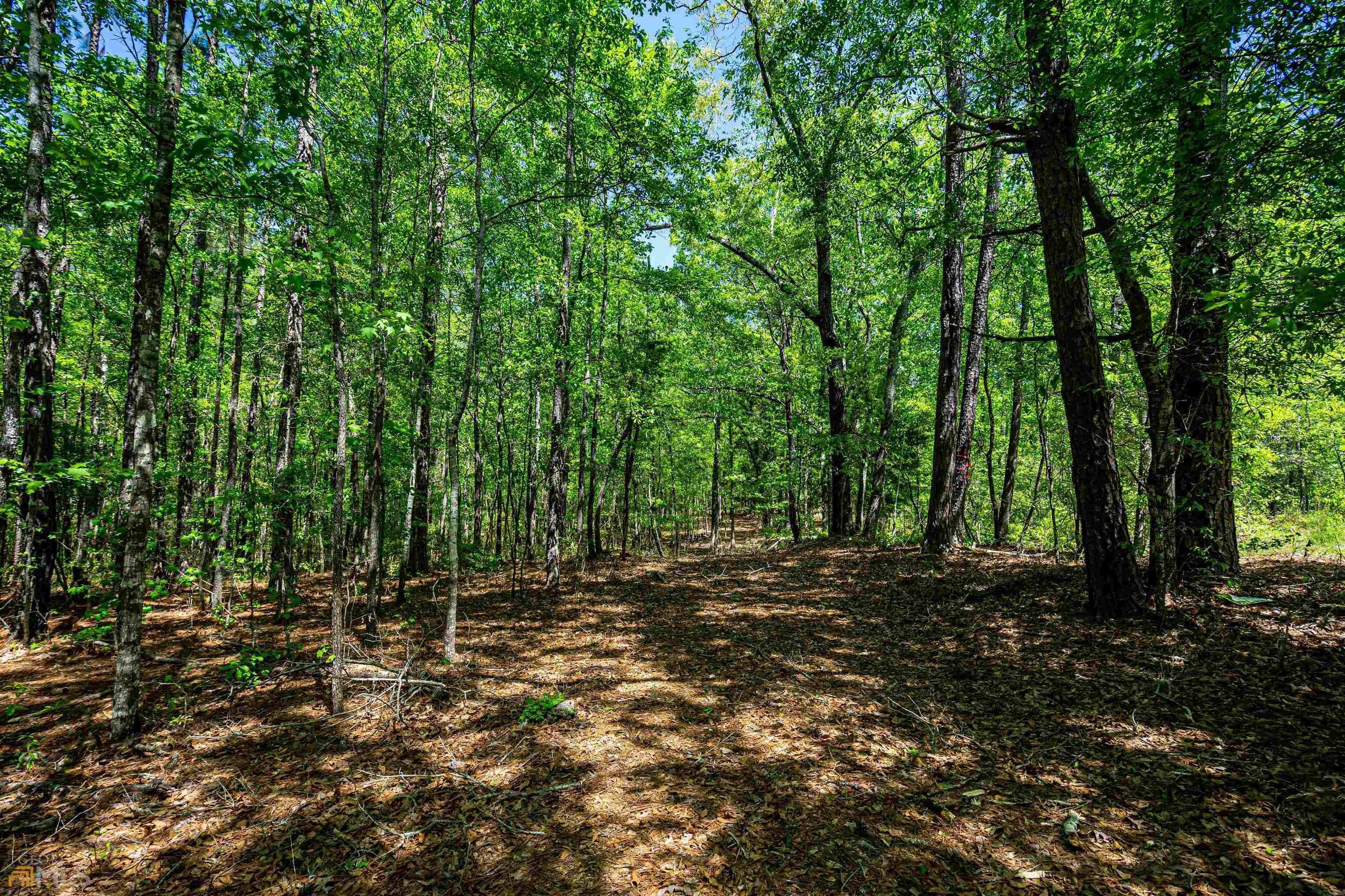 print property image