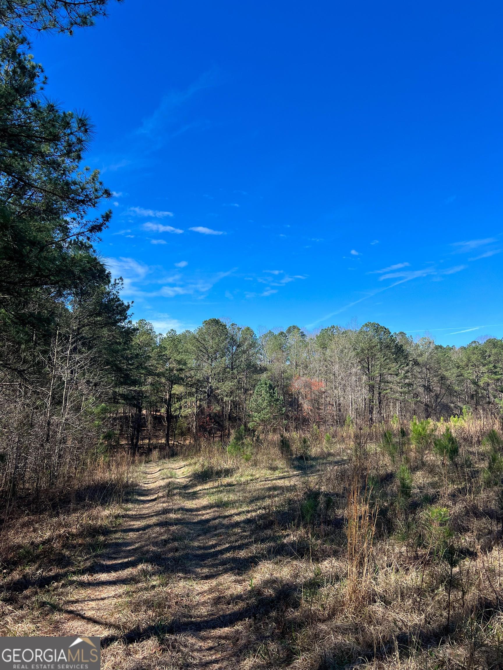 Property Image for 17081 Ga Highway 85 W
