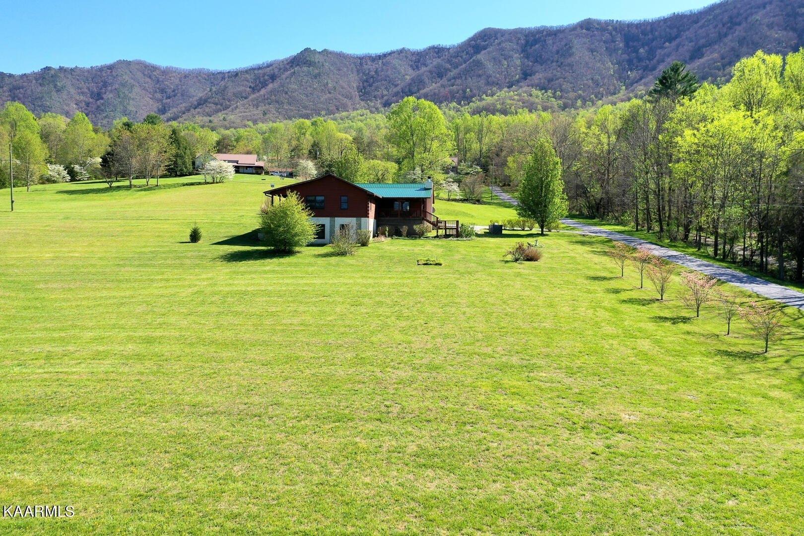 print property image