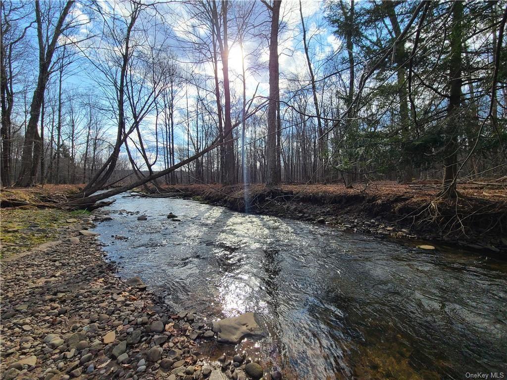 Property Image for Mineral Springs Road