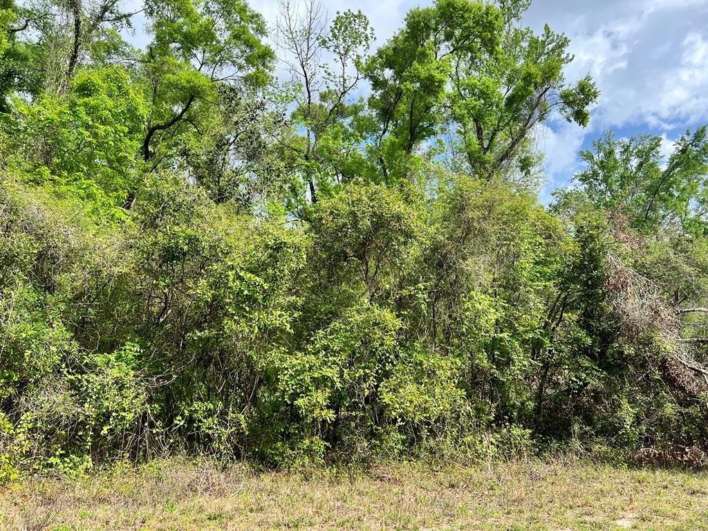 Property Image for 349th Ave