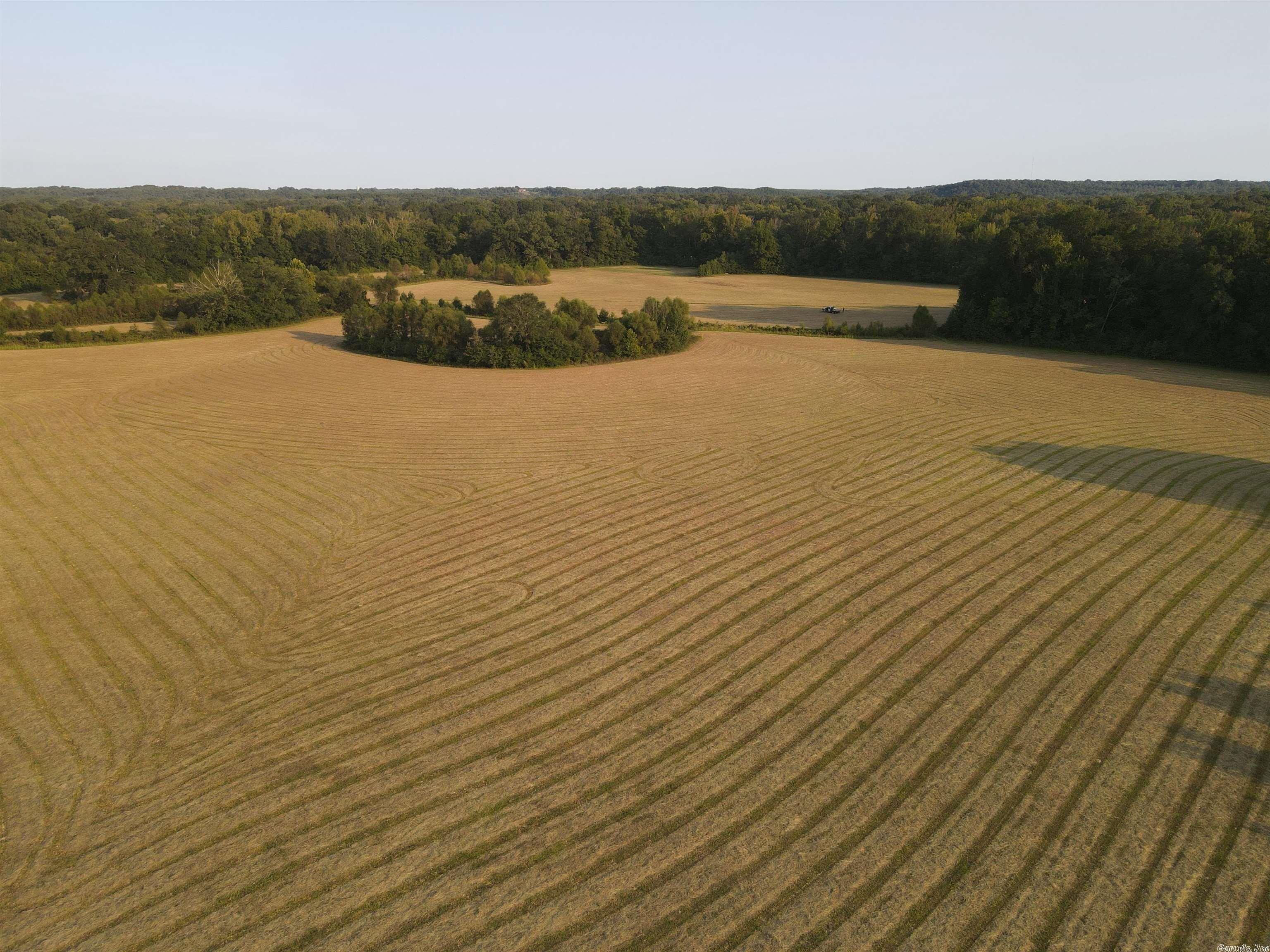 print property image