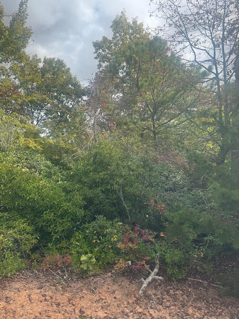 print property image