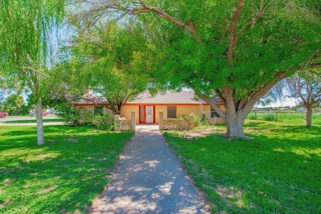 print property image