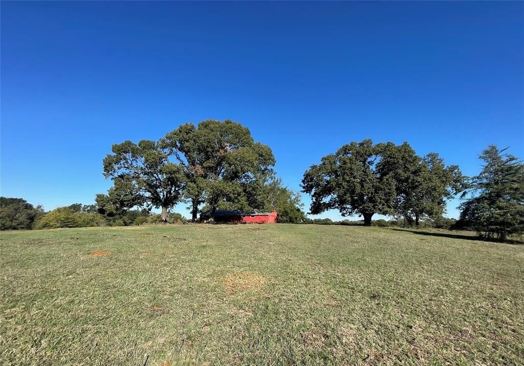 14279 Hwy 11, Pickton, TX 75471 MLS 20469659 CENTURY 21