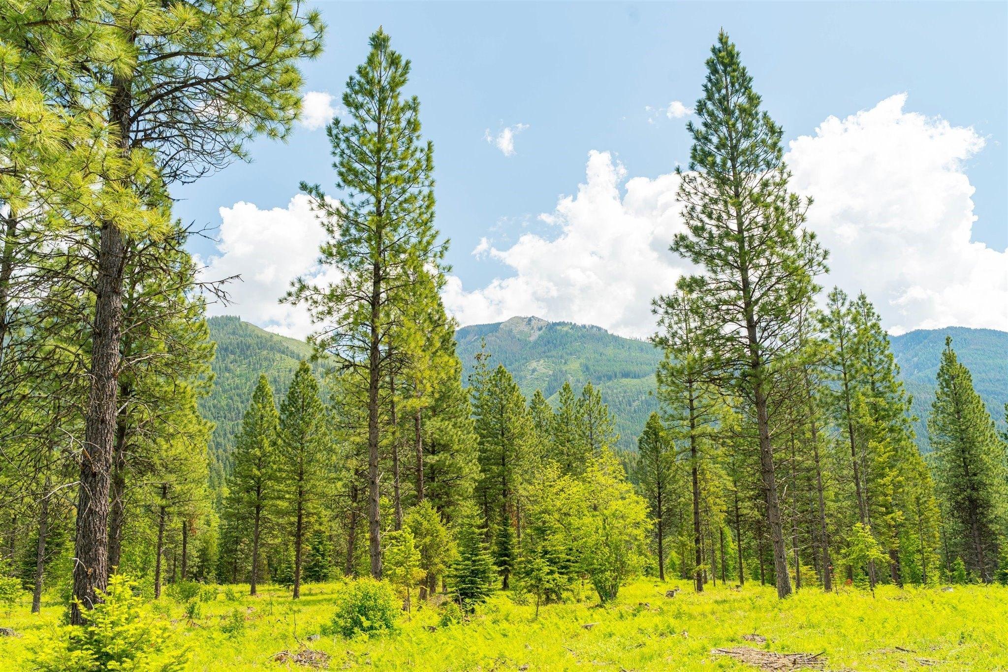 print property image