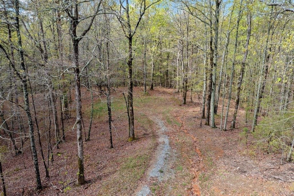 print property image