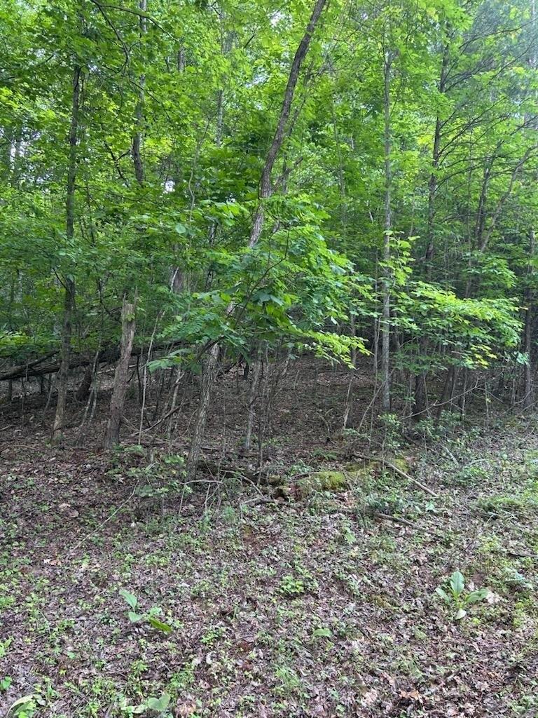 print property image